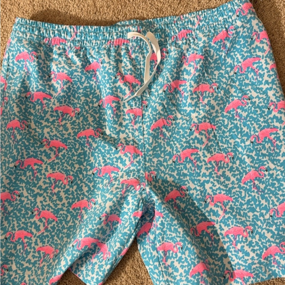 Chubbies Blue and Pink Swim Trunks